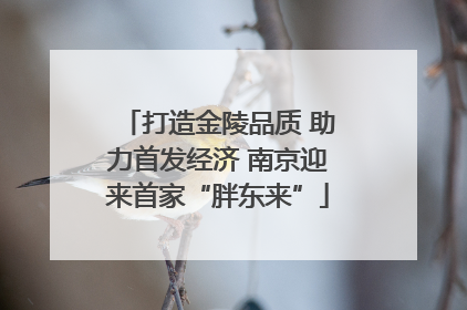 打造金陵品质 助力首发经济 南京迎来首家“胖东来”