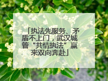 执法先服务、矛盾不上门，武汉城管“共情执法”赢来双向奔赴