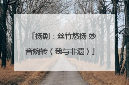 扬剧：丝竹悠扬 妙音婉转（我与非遗）