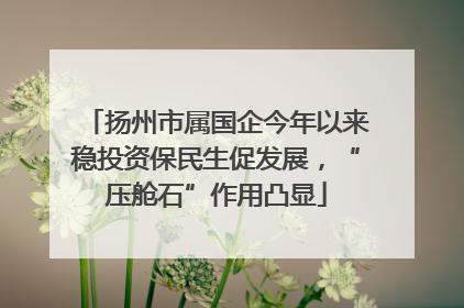 扬州市属国企今年以来稳投资保民生促发展，“压舱石”作用凸显