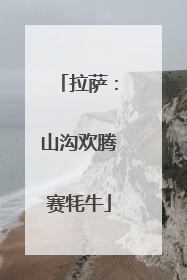 拉萨：山沟欢腾赛牦牛