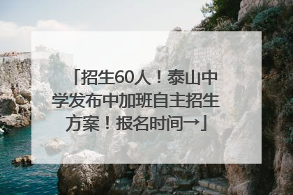 招生60人！泰山中学发布中加班自主招生方案！报名时间→