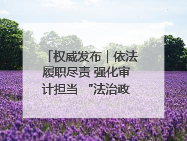 权威发布｜依法履职尽责 强化审计担当 “法治政府建设”主题系列新闻发布会市审计局专场召开