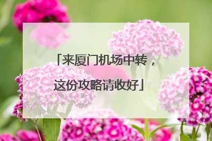 来厦门机场中转，这份攻略请收好