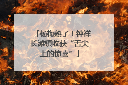 杨梅熟了！钟祥长滩镇收获“舌尖上的惊喜”