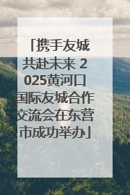 携手友城 共赴未来 2025黄河口国际友城合作交流会在东营市成功举办
