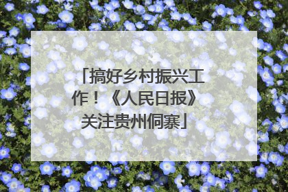 搞好乡村振兴工作！《人民日报》关注贵州侗寨