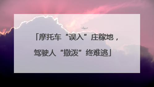 摩托车“误入”庄稼地，驾驶人“撒泼”终难逃