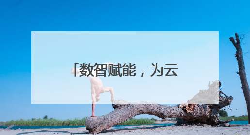 数智赋能，为云南高原农业装上“数字大脑”