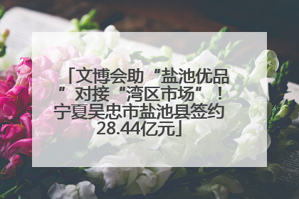 文博会助“盐池优品”对接“湾区市场”！宁夏吴忠市盐池县签约28.44亿元