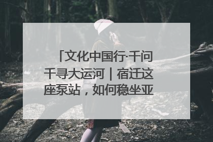 文化中国行·千问千寻大运河｜宿迁这座泵站，如何稳坐亚洲第一宝座？