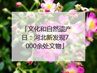 文化和自然遗产日：河北新发现7000余处文物