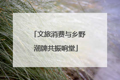 文旅消费与乡野潮牌共振响堂