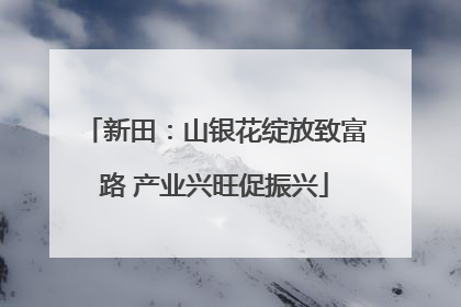新田：山银花绽放致富路 产业兴旺促振兴
