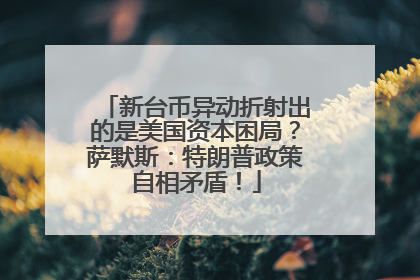 新台币异动折射出的是美国资本困局？萨默斯：特朗普政策自相矛盾！