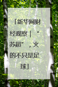 新华网财经观察｜“苏超”，火的不只是足球
