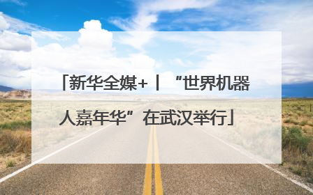 新华全媒+丨“世界机器人嘉年华”在武汉举行