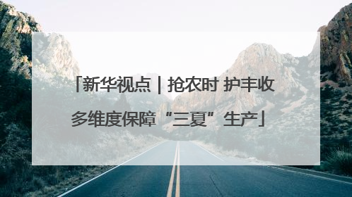 新华视点｜抢农时 护丰收 多维度保障“三夏”生产