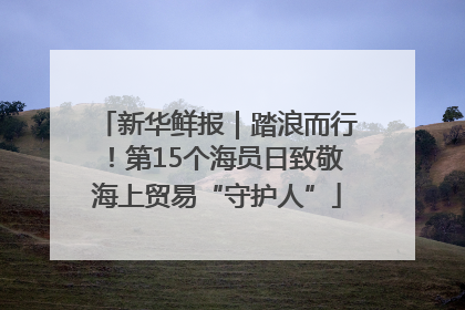 新华鲜报｜踏浪而行！第15个海员日致敬海上贸易“守护人”
