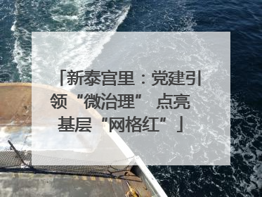 新泰宫里：党建引领“微治理” 点亮基层“网格红”