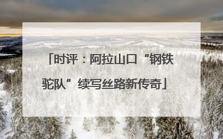 时评：阿拉山口“钢铁驼队”续写丝路新传奇