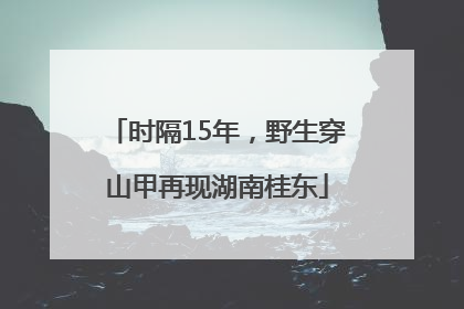 时隔15年，野生穿山甲再现湖南桂东