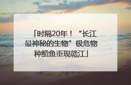 时隔20年！“长江最神秘的生物”极危物种鳤鱼重现赣江