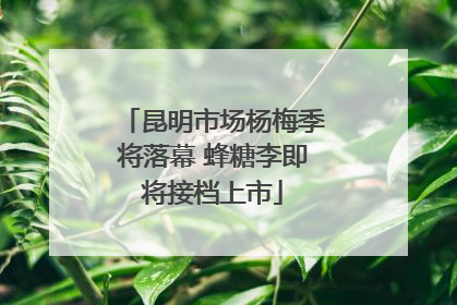 昆明市场杨梅季将落幕 蜂糖李即将接档上市