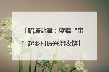 昭通盐津：蓝莓“串”起乡村振兴增收链