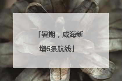 暑期，威海新增6条航线