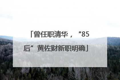 曾任职清华，“85后”黄佐财新职明确
