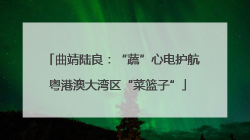 曲靖陆良：“蔬”心电护航粤港澳大湾区“菜篮子”