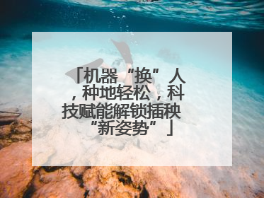 机器“换”人，种地轻松，科技赋能解锁插秧“新姿势”