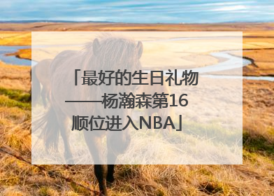 最好的生日礼物——杨瀚森第16顺位进入NBA