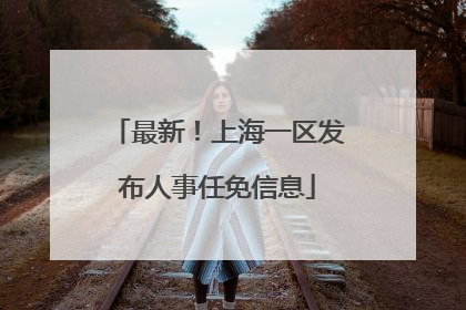 最新！上海一区发布人事任免信息