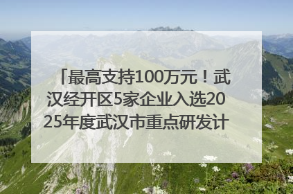 最高支持100万元！武汉经开区5家企业入选2025年度武汉市重点研发计划拟立项项目名单