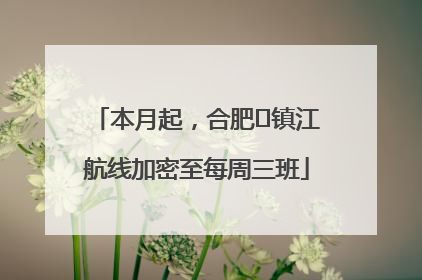 本月起，合肥⇋镇江航线加密至每周三班