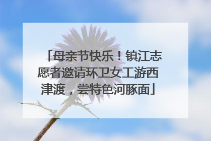 母亲节快乐！镇江志愿者邀请环卫女工游西津渡，尝特色河豚面