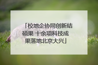 校地企协同创新结硕果 十余项科技成果落地北京大兴