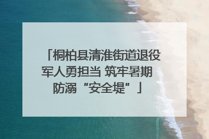 桐柏县清淮街道退役军人勇担当 筑牢暑期防溺“安全堤”