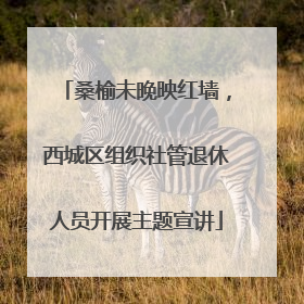 桑榆未晚映红墙，西城区组织社管退休人员开展主题宣讲
