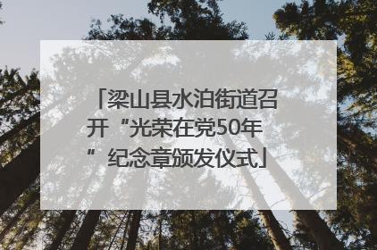 梁山县水泊街道召开“光荣在党50年”纪念章颁发仪式