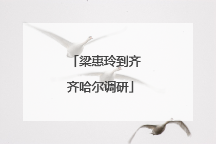 梁惠玲到齐齐哈尔调研