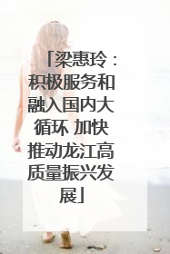 梁惠玲：积极服务和融入国内大循环 加快推动龙江高质量振兴发展