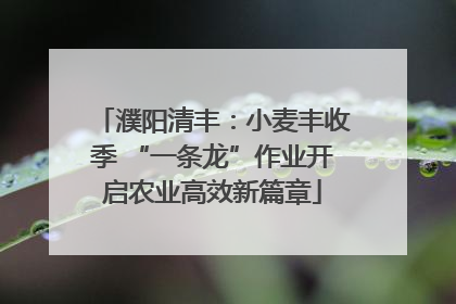 濮阳清丰：小麦丰收季 “一条龙”作业开启农业高效新篇章