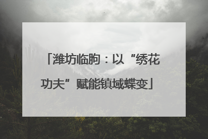 潍坊临朐：以“绣花功夫”赋能镇域蝶变