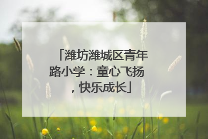 潍坊潍城区青年路小学：童心飞扬，快乐成长