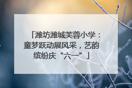 潍坊潍城芙蓉小学：童梦跃动展风采，艺韵缤纷庆“六一”