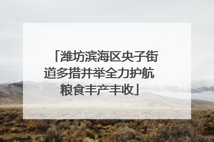 潍坊滨海区央子街道多措并举全力护航粮食丰产丰收