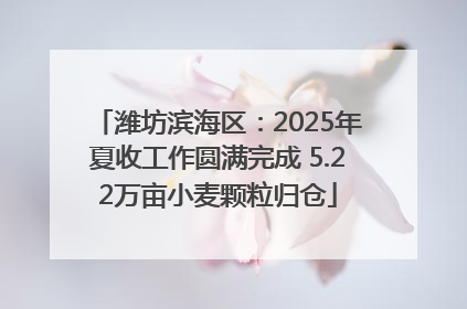 潍坊滨海区：2025年夏收工作圆满完成 5.22万亩小麦颗粒归仓